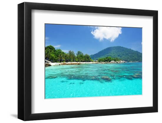 Premium Photographic Print, , large