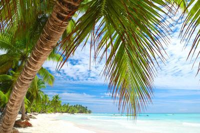 Beautiful Caribbean Beach in Dominican Republic