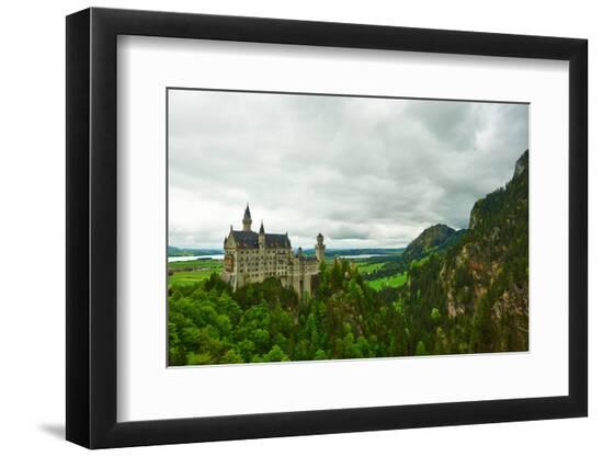 Premium Photographic Print, , large