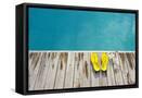 Framed Canvas
