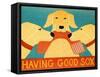 Having Good Sox Yellow-Stephen Huneck-Framed Stretched Canvas