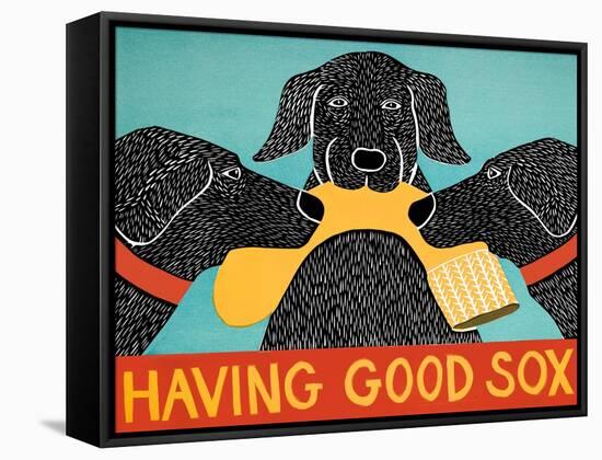 Having Good Sox-Stephen Huneck-Framed Stretched Canvas