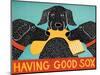 Having Good Sox-Stephen Huneck-Mounted Giclee Print