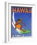 Hawaii Air Travel-Jean Pierre Got-Framed Art Print