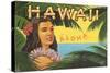 Hawaii, Aloha-Kerne Erickson-Stretched Canvas