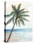 Hawaii Beach I-Eva Watts-Stretched Canvas