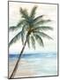 Hawaii Beach I-Eva Watts-Mounted Art Print
