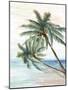 Hawaii Beach II-Eva Watts-Mounted Art Print