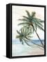 Hawaii Beach II-Eva Watts-Framed Stretched Canvas