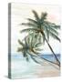 Hawaii Beach II-Eva Watts-Stretched Canvas