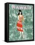 Hawaii Beckons-Al Moore-Framed Stretched Canvas