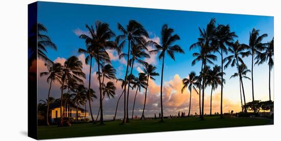 Hawaii Dreaming III-null-Stretched Canvas