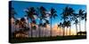 Hawaii Dreaming III-null-Stretched Canvas