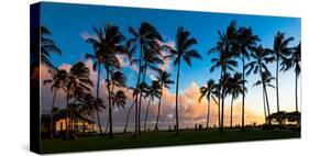 Hawaii Dreaming III-null-Stretched Canvas
