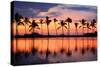 Hawaii Dreams III-null-Stretched Canvas