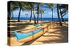 Hawaii Dreams IV-null-Stretched Canvas
