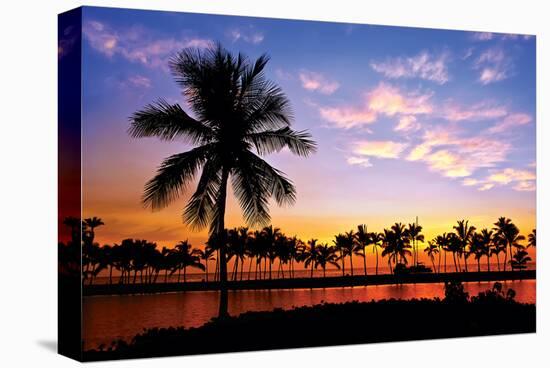 Hawaii Dreams VI-null-Stretched Canvas