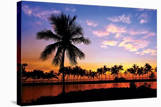 Hawaii Dreams VI-null-Stretched Canvas