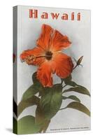 Hawaii, Hibiscus Flower-null-Stretched Canvas