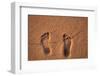 Hawaii, Kauai. Footprints in the sand on a Hawaii beach.-Janis Miglavs-Framed Photographic Print