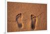 Hawaii, Kauai. Footprints in the sand on a Hawaii beach.-Janis Miglavs-Framed Photographic Print