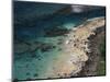 Hawaii, Kauai, Haena State Park, Coral Reef Near Kee Beach-Christopher Talbot Frank-Mounted Photographic Print