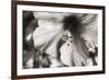 Hawaii, Kauai, Hibiscus-Savanah Stewart-Framed Photographic Print