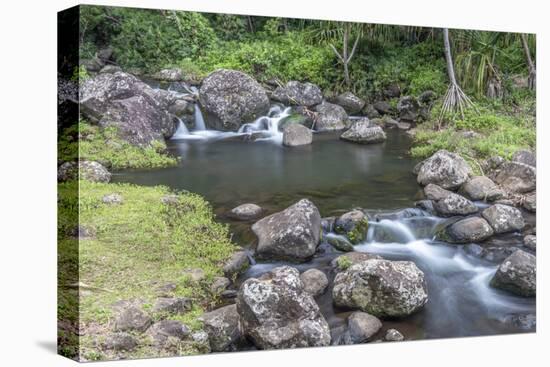 Hawaii, Kauai, Limahuli Garden and Preserve-Rob Tilley-Stretched Canvas