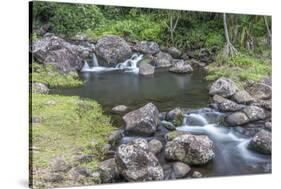 Hawaii, Kauai, Limahuli Garden and Preserve-Rob Tilley-Stretched Canvas