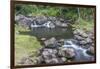 Hawaii, Kauai, Limahuli Garden and Preserve-Rob Tilley-Framed Photographic Print