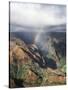 Hawaii, Kauai, Waimea Canyon State Park, a Rainbow over Waimea Canyon-Christopher Talbot Frank-Stretched Canvas