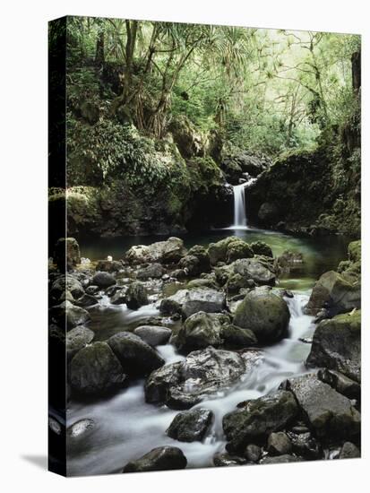 Hawaii, Maui, a Waterfall Flows into Blue Pool from the Rainforest-Christopher Talbot Frank-Stretched Canvas