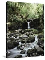 Hawaii, Maui, a Waterfall Flows into Blue Pool from the Rainforest-Christopher Talbot Frank-Stretched Canvas