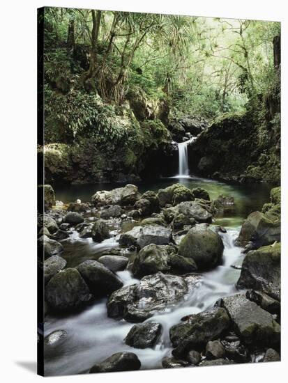 Hawaii, Maui, a Waterfall Flows into Blue Pool from the Rainforest-Christopher Talbot Frank-Stretched Canvas