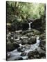 Hawaii, Maui, a Waterfall Flows into Blue Pool from the Rainforest-Christopher Talbot Frank-Stretched Canvas