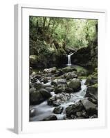 Hawaii, Maui, a Waterfall Flows into Blue Pool from the Rainforest-Christopher Talbot Frank-Framed Premium Photographic Print