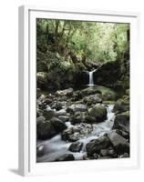 Hawaii, Maui, a Waterfall Flows into Blue Pool from the Rainforest-Christopher Talbot Frank-Framed Premium Photographic Print