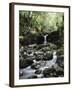 Hawaii, Maui, a Waterfall Flows into Blue Pool from the Rainforest-Christopher Talbot Frank-Framed Premium Photographic Print