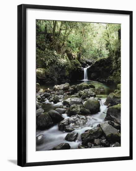 Hawaii, Maui, a Waterfall Flows into Blue Pool from the Rainforest-Christopher Talbot Frank-Framed Premium Photographic Print