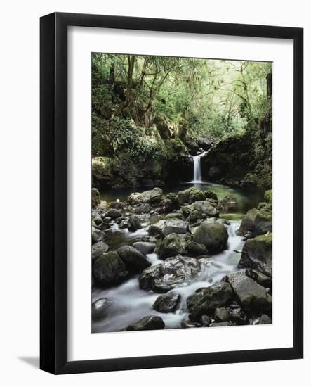 Hawaii, Maui, a Waterfall Flows into Blue Pool from the Rainforest-Christopher Talbot Frank-Framed Photographic Print