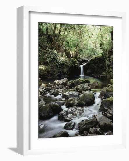 Hawaii, Maui, a Waterfall Flows into Blue Pool from the Rainforest-Christopher Talbot Frank-Framed Photographic Print