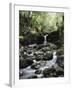 Hawaii, Maui, a Waterfall Flows into Blue Pool from the Rainforest-Christopher Talbot Frank-Framed Photographic Print