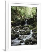 Hawaii, Maui, a Waterfall Flows into Blue Pool from the Rainforest-Christopher Talbot Frank-Framed Photographic Print