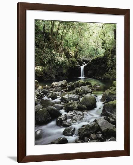 Hawaii, Maui, a Waterfall Flows into Blue Pool from the Rainforest-Christopher Talbot Frank-Framed Photographic Print