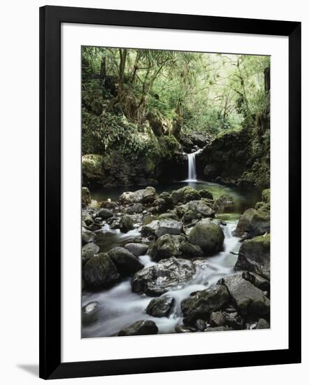 Hawaii, Maui, a Waterfall Flows into Blue Pool from the Rainforest-Christopher Talbot Frank-Framed Photographic Print