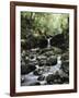 Hawaii, Maui, a Waterfall Flows into Blue Pool from the Rainforest-Christopher Talbot Frank-Framed Photographic Print