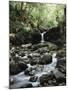Hawaii, Maui, a Waterfall Flows into Blue Pool from the Rainforest-Christopher Talbot Frank-Mounted Photographic Print