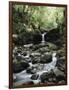 Hawaii, Maui, a Waterfall Flows into Blue Pool from the Rainforest-Christopher Talbot Frank-Framed Photographic Print