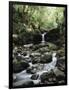 Hawaii, Maui, a Waterfall Flows into Blue Pool from the Rainforest-Christopher Talbot Frank-Framed Photographic Print