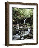 Hawaii, Maui, a Waterfall Flows into Blue Pool from the Rainforest-Christopher Talbot Frank-Framed Photographic Print